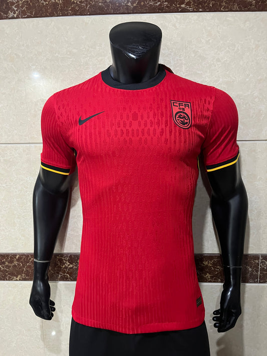 24/25 Home Kit
