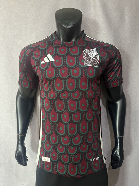 24/25 Home Kit